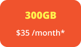 300GB $35/month